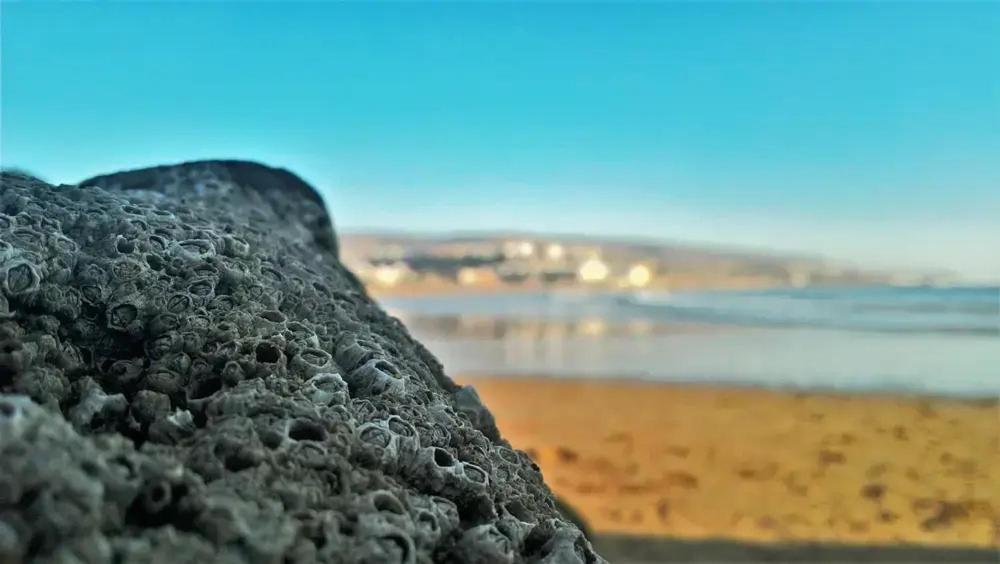 Baya House Sea View Lejlighed Agadir Eksteriør billede